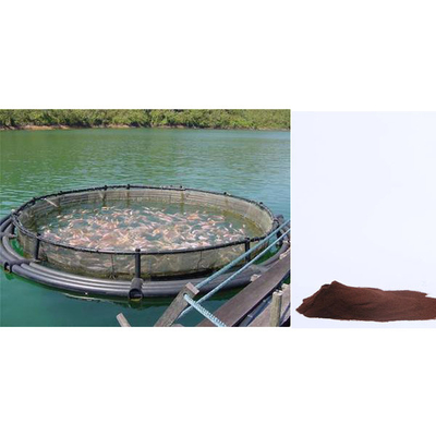 Aquafeed Spray Fish Feed Additives Dried Chicken Hemoglobin Powder 23099090