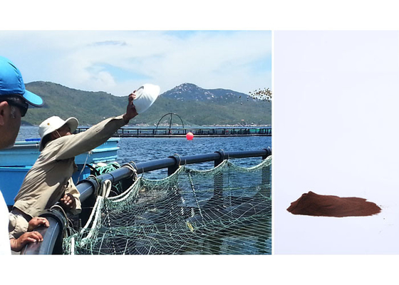 Spray Dried Haemoglobin Powder Fish Feed Additives