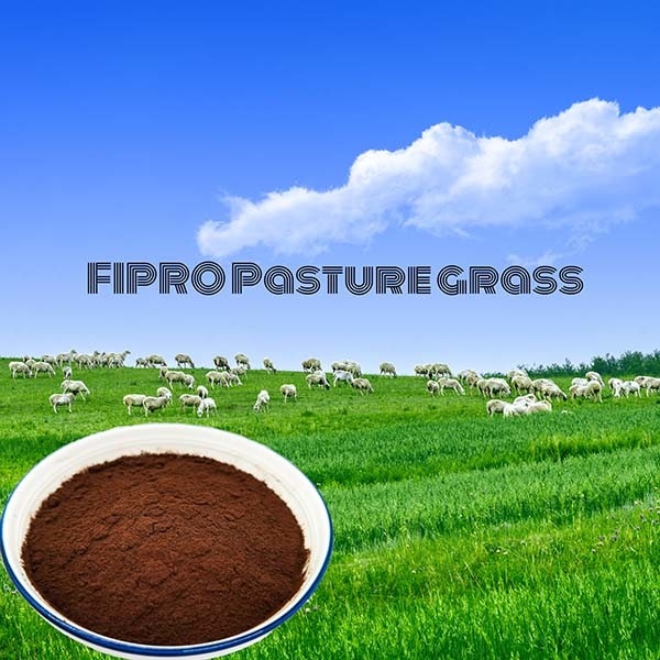 Micro Granulated Amino Acid Fertilizer Powder