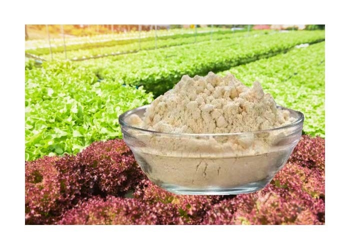 Hydrolyzed Soy Protein Plants Fertilizer Powder Non Dirtying 3101009010
