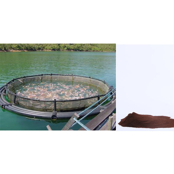 Aquafeed Spray Fish Feed Additives Dried Chicken Hemoglobin Powder 23099090