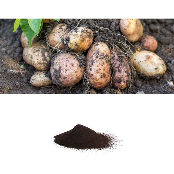 Agriculture Biostimulant Amino Acids Powder Organic Fertilizer